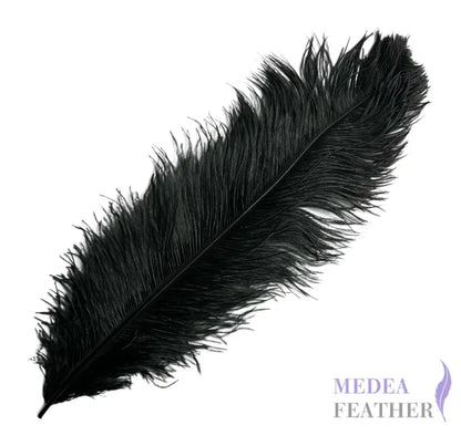 Ostrich Feather Plume 55-60cm