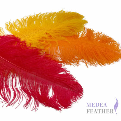 Ostrich Feather Plume 55-60cm