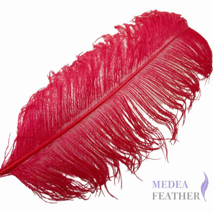 Ostrich Feather Plume 55-60cm - #22red