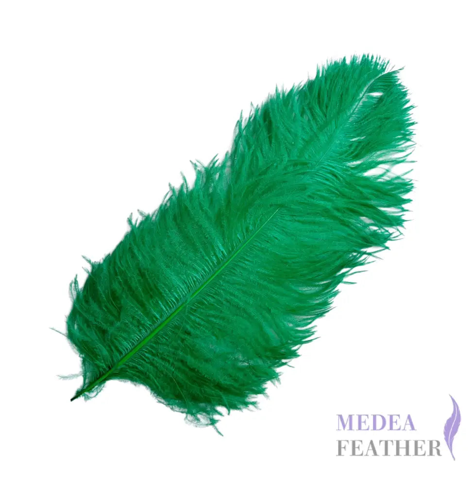 Ostrich Feather Plume 55-60cm