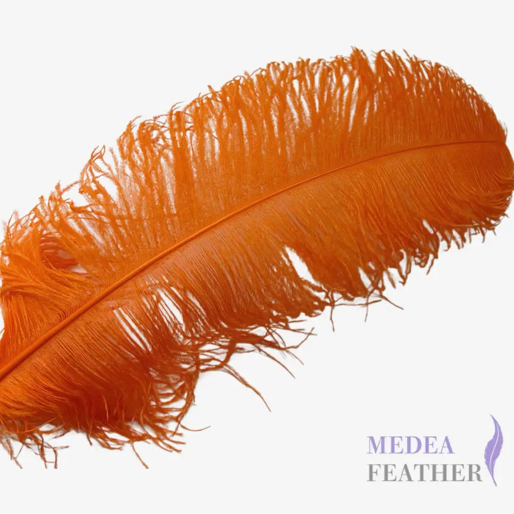 Ostrich Feather Plume 55-60cm - #24carrot
