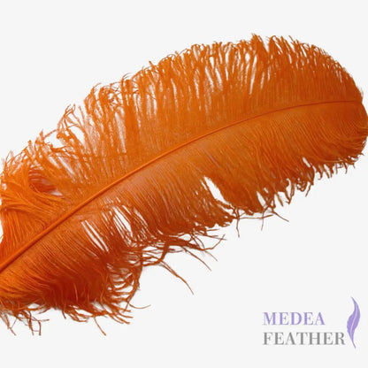 Ostrich Feather Plume 55-60cm - #24carrot