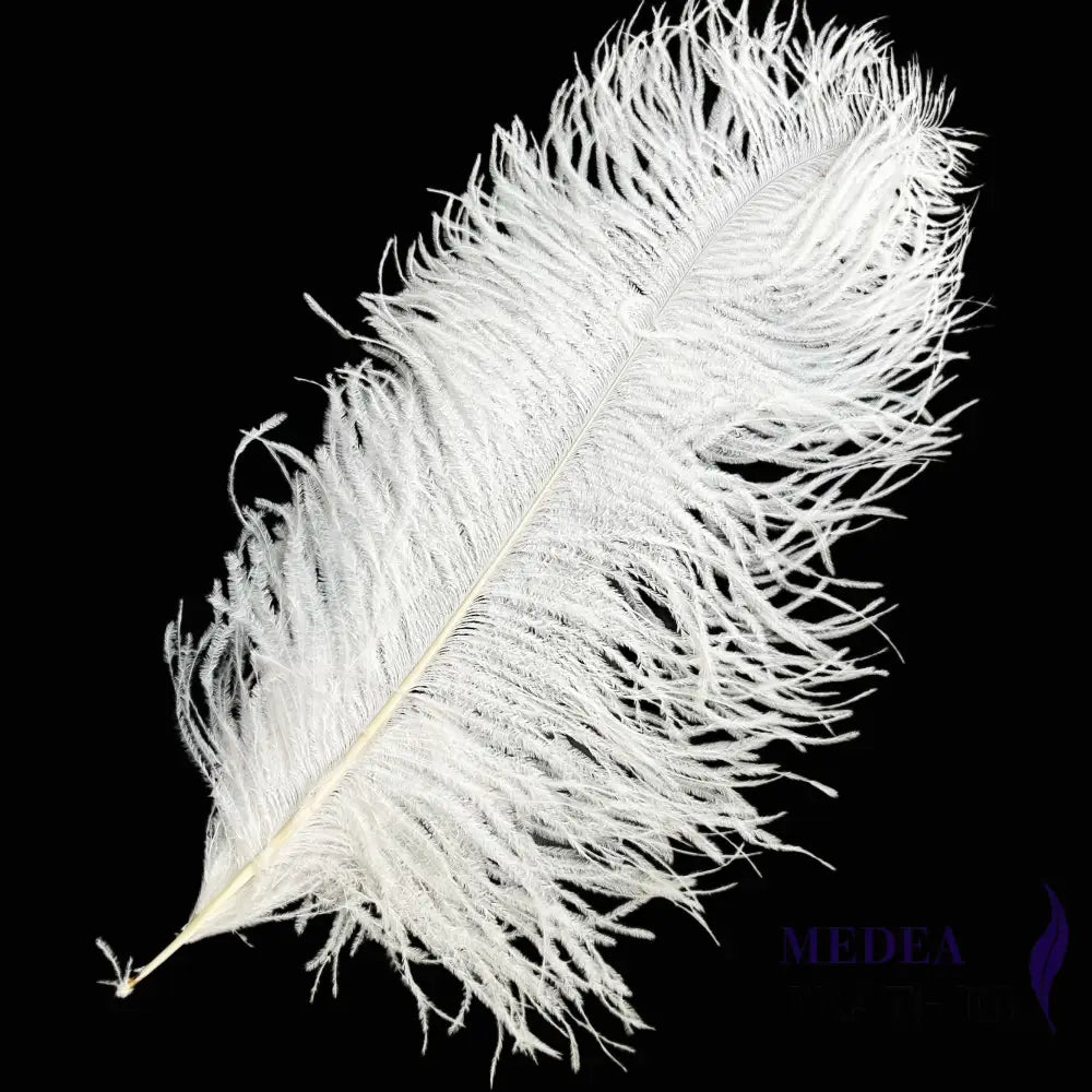 Ostrich Feather Plume 55-60cm