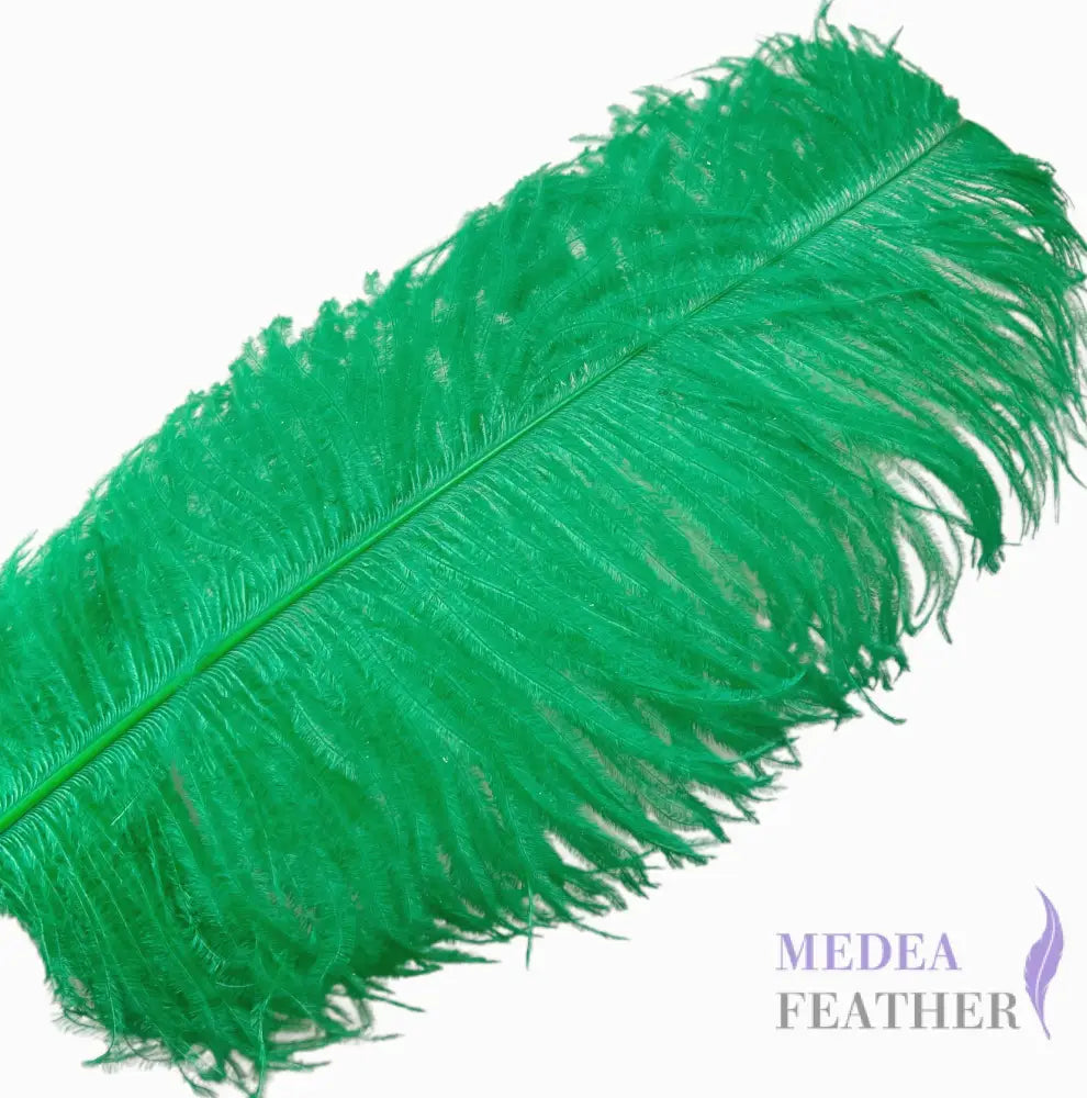 Ostrich Feather Plume 55-60cm - #70bright green