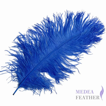 Ostrich Feather Plume 55-60cm