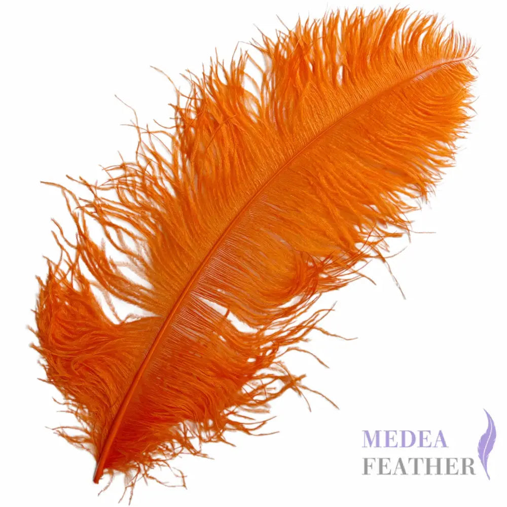 Ostrich Feather Plume 55-60cm