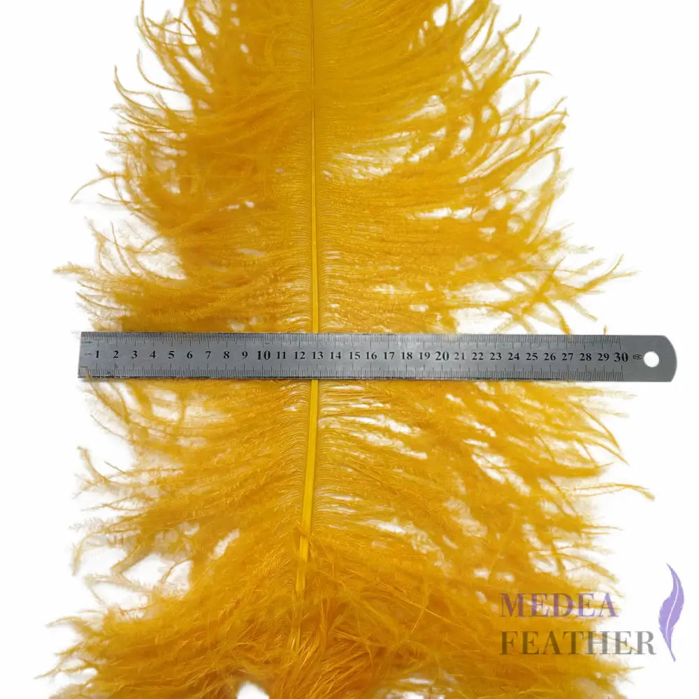Ostrich Feather Plume 55-60cm
