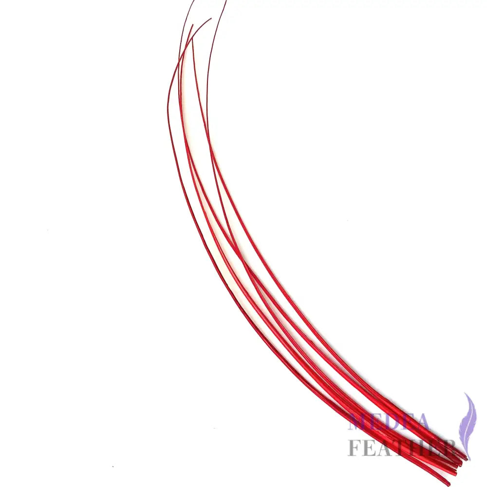 Ostrich Feather Quill -pack of 3 SFOSTRICH01 - #22 red