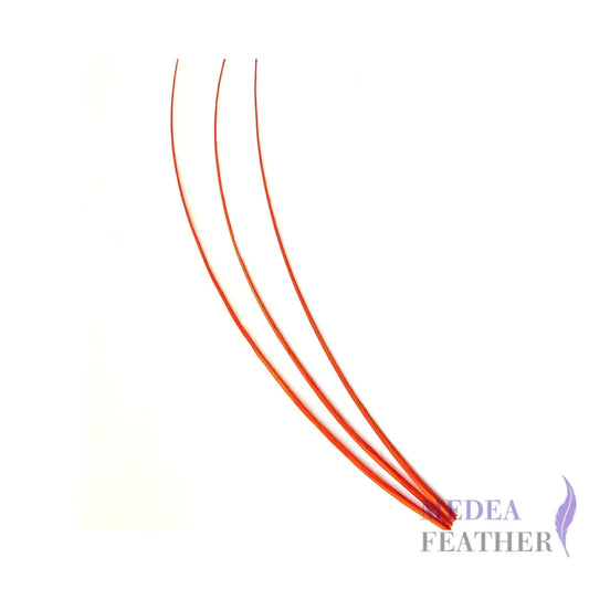 Ostrich Feather Quill -pack of 3 SFOSTRICH01 - #24 carrot
