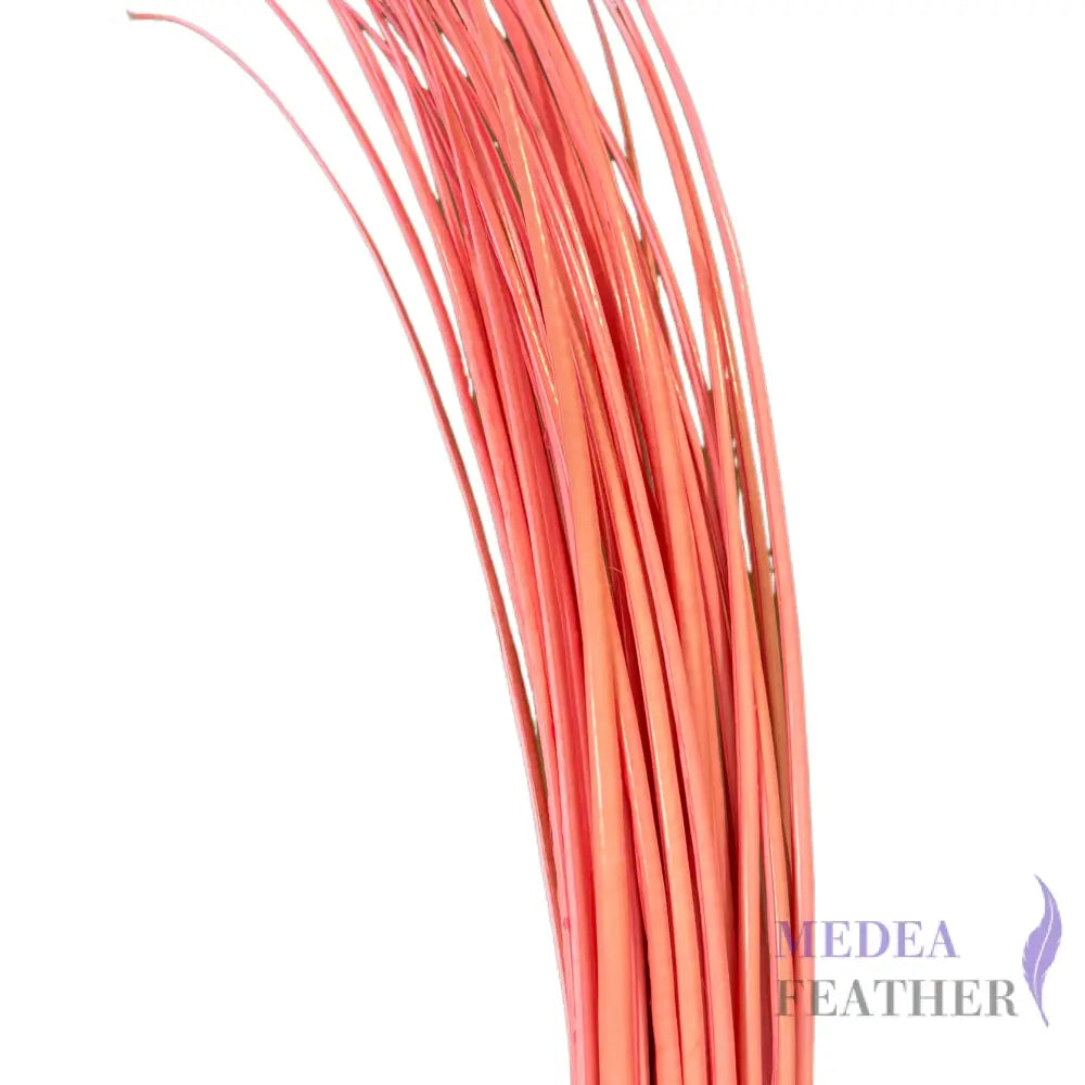Ostrich Feather Quill -pack of 3 SFOSTRICH01 - #32 coral rose