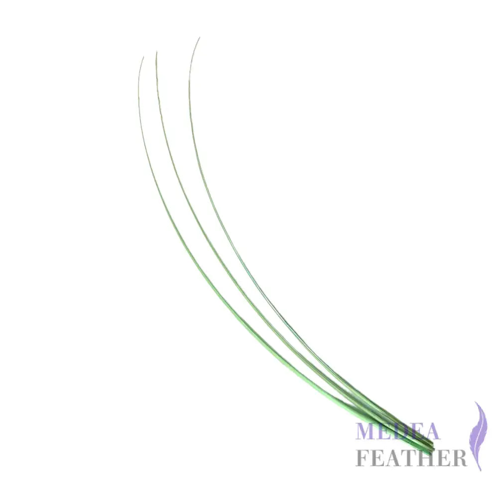 Ostrich Feather Quill -pack of 3 SFOSTRICH01 - #55 mint