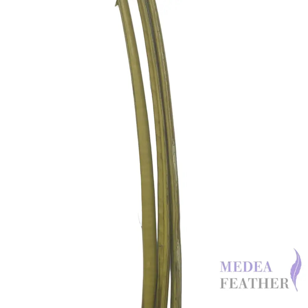 Ostrich Feather Quill -pack of 3 SFOSTRICH01 - #68 calliste green