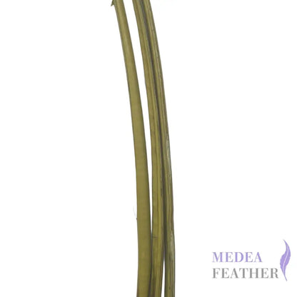 Ostrich Feather Quill -pack of 3 SFOSTRICH01 - #68 calliste green