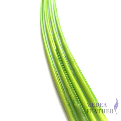 Ostrich Feather Quill -pack of 3 SFOSTRICH01 - #88 Green banana