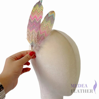 Patterned Goose Feather-Pack of 5