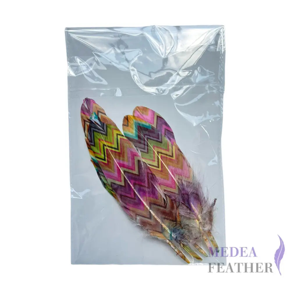 Patterned Goose Feather-Pack of 5
