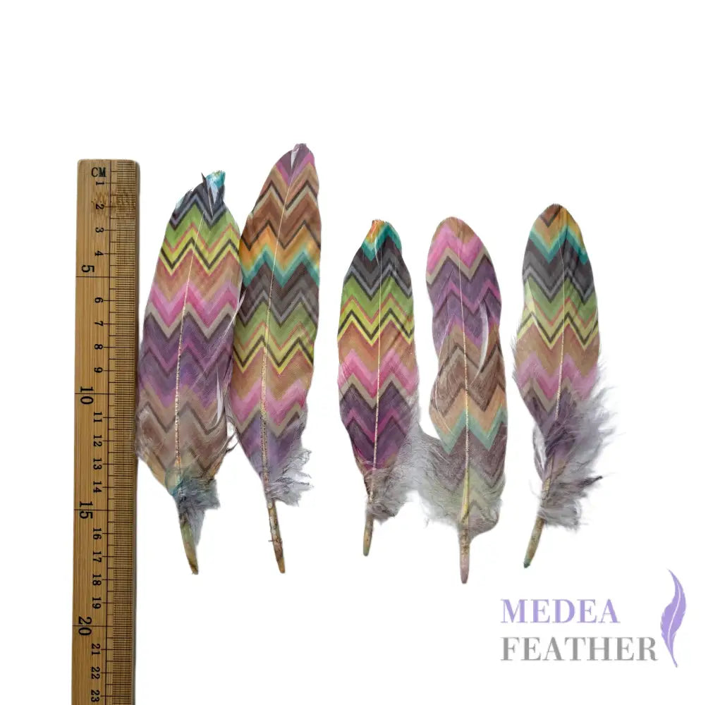 Patterned Goose Feather-Pack of 5