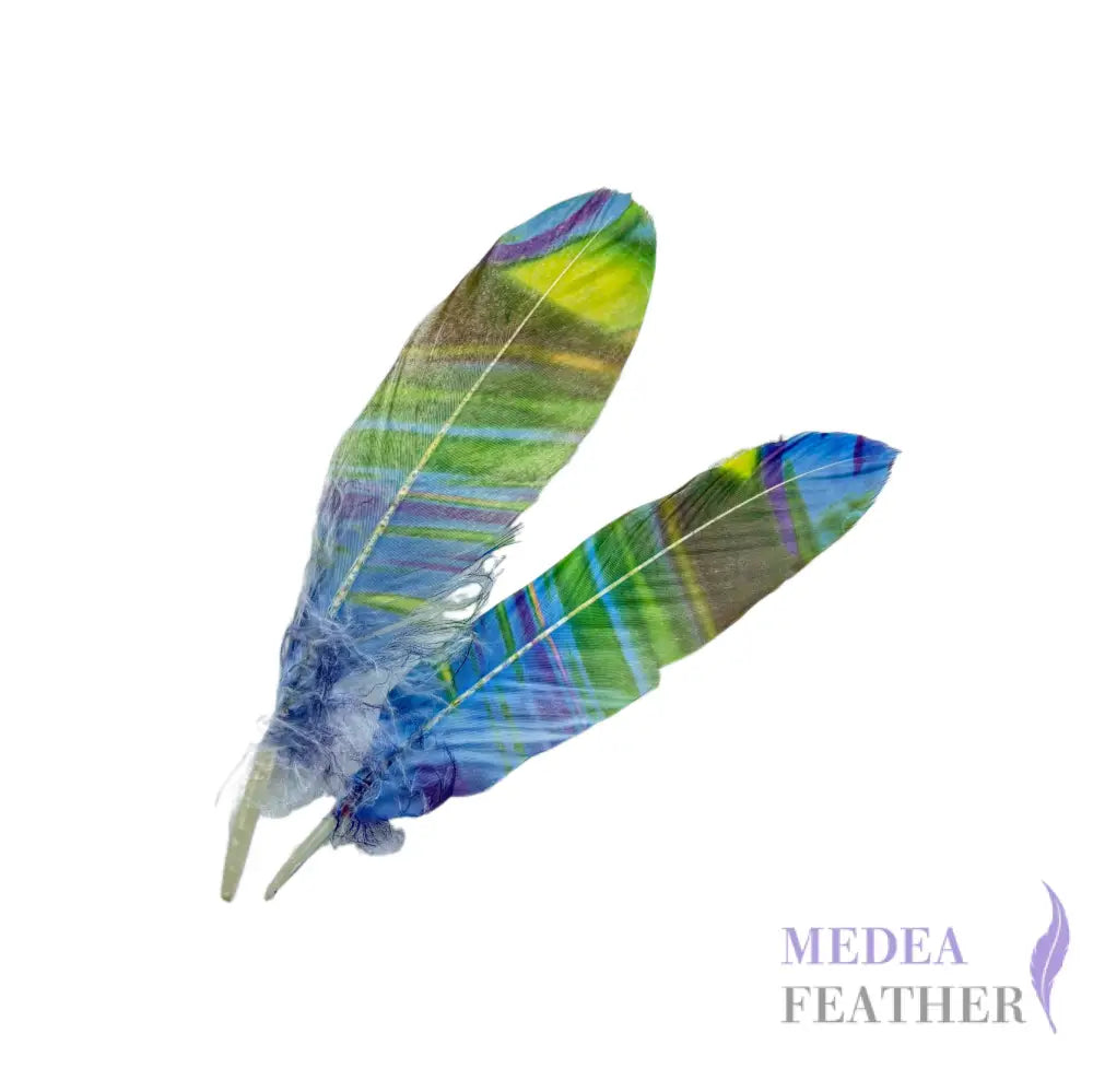 Patterned Goose Feather-Pack of 5 - Floral 03