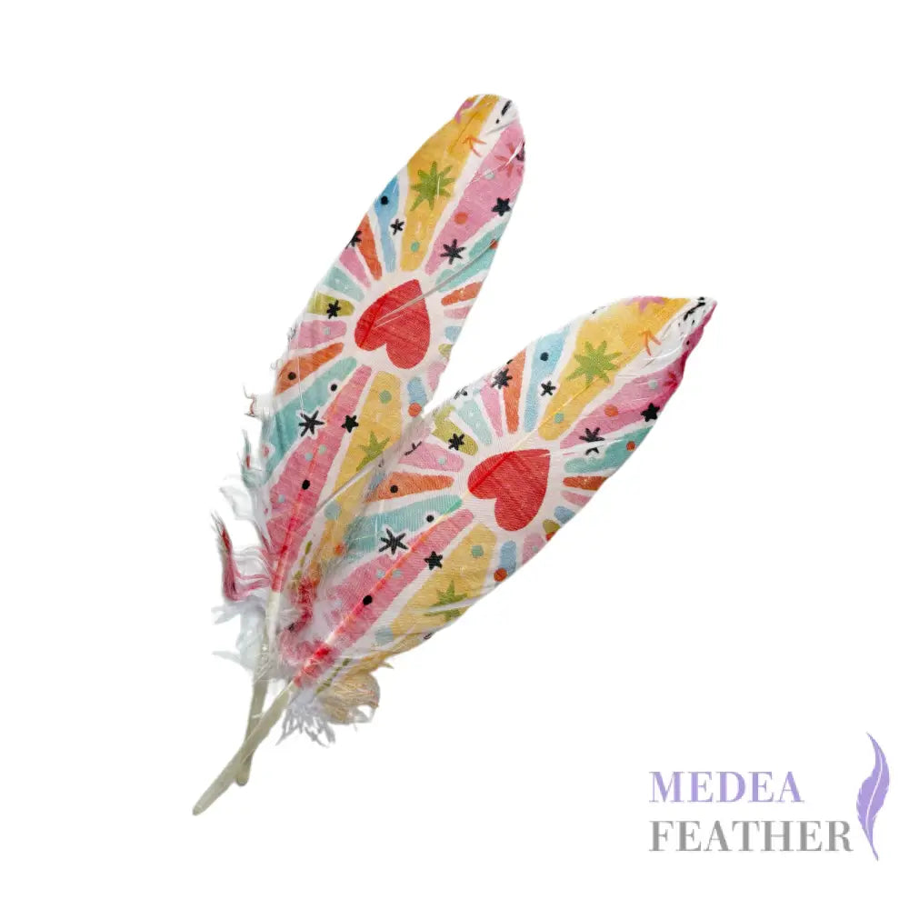 Patterned Goose Feather-Pack of 5 - Floral 09