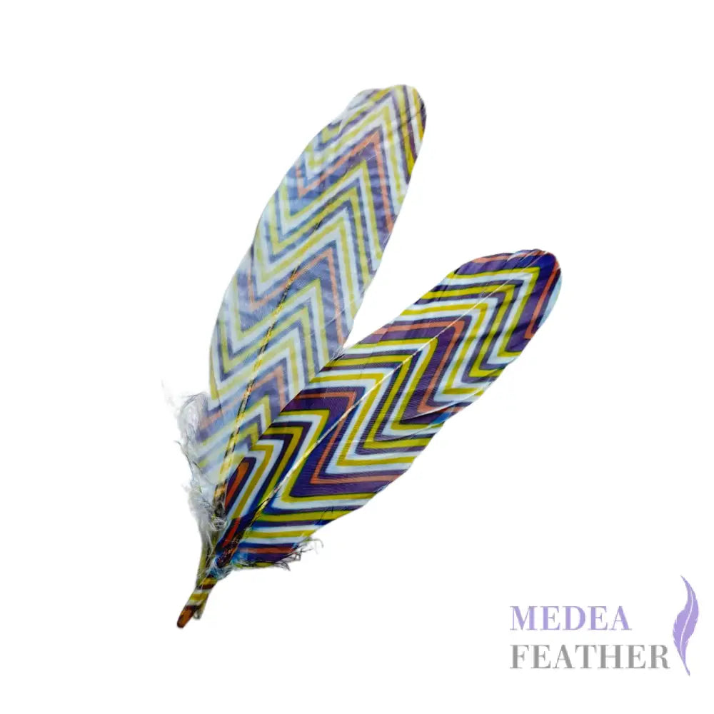 Patterned Goose Feather-Pack of 5 - Floral 12