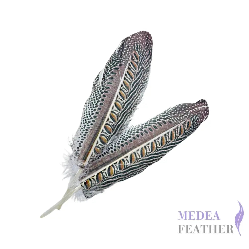 Patterned Goose Feather-Pack of 5 - Floral 13