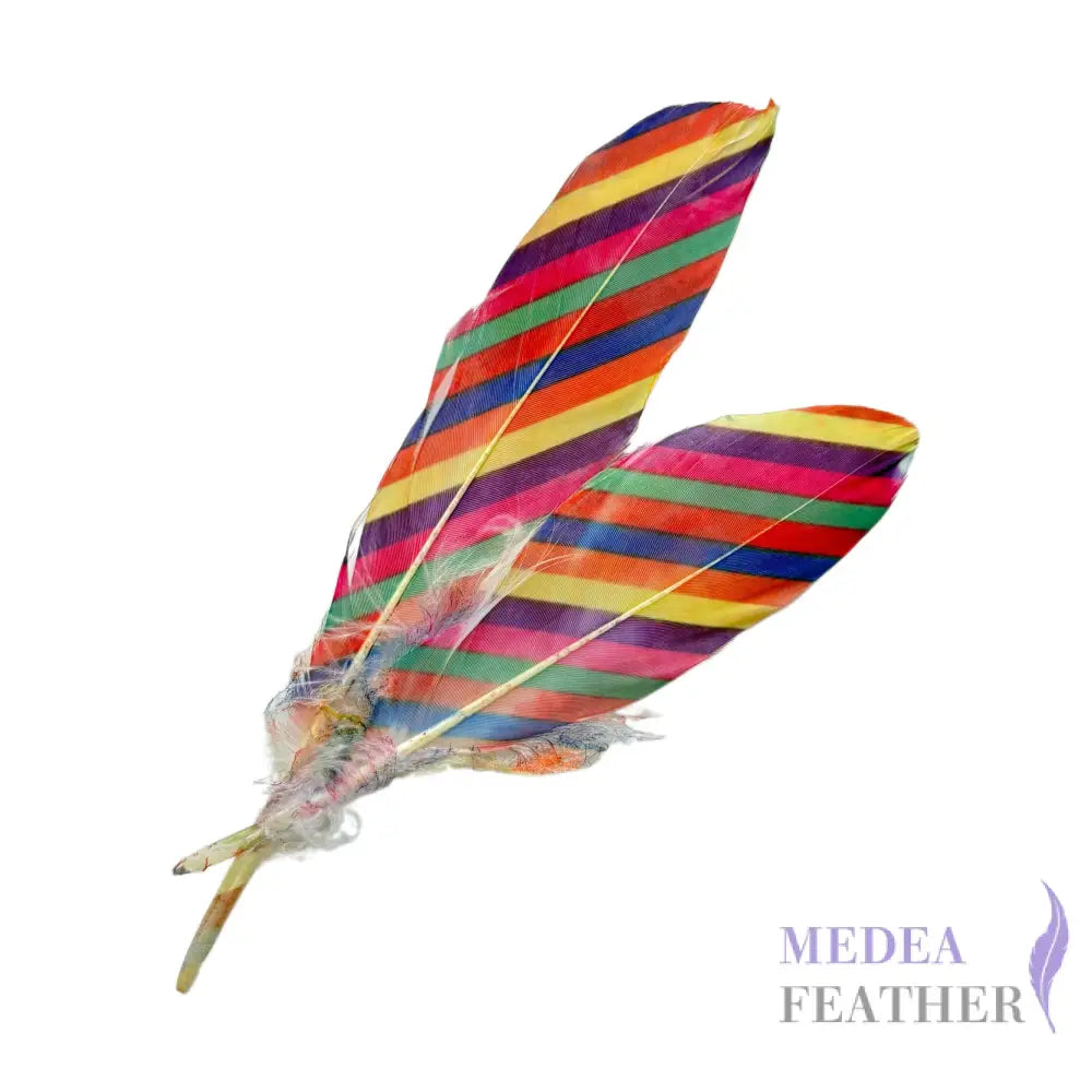 Patterned Goose Feather-Pack of 5 - Floral 16