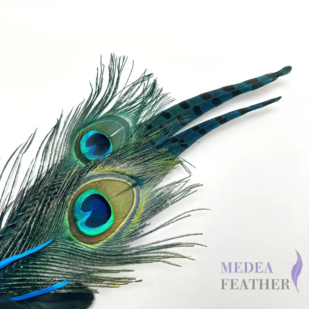 Peacock Eyes and Ringneck Pheasant Tail Feather Mount Custom - Please add text below