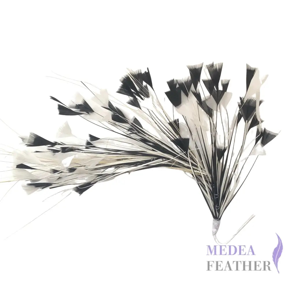 Peacock Hair Diamond Tip Mount FM001 - #01Ivory & #03 black