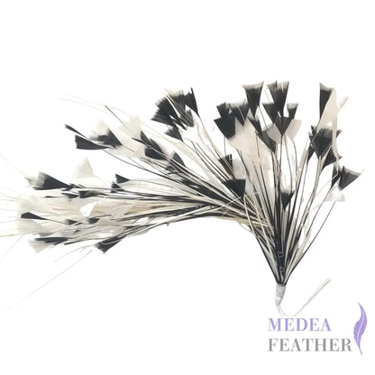 Peacock Hair Diamond Tip Mount FM001 - #01Ivory & #03 black