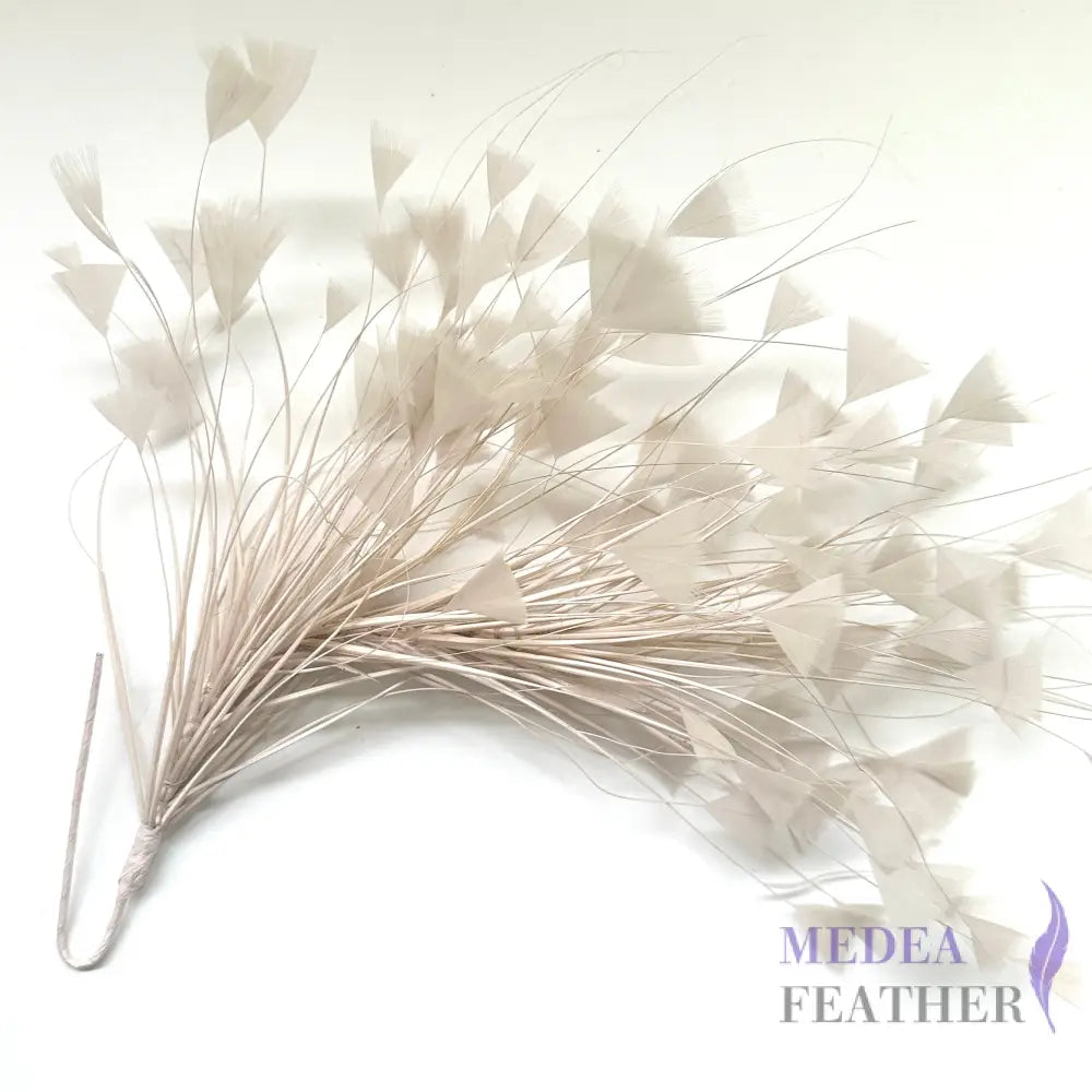 Peacock Hair Diamond Tip Mount FM001 Dust