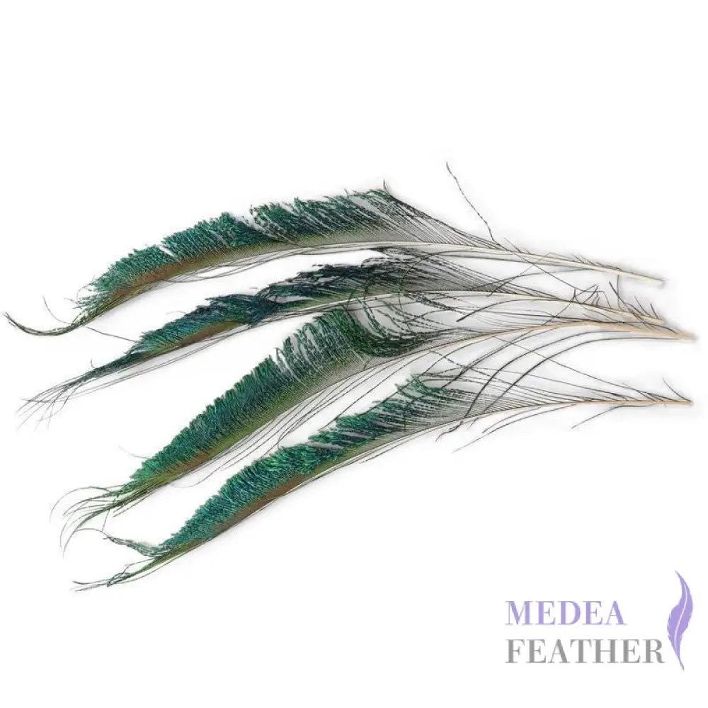 Peacock Sword Feather(1 pack=10 pieces)