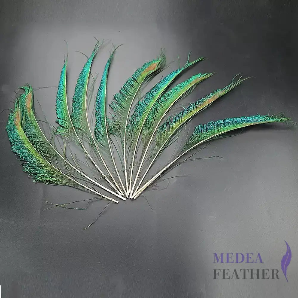 Peacock Sword Feather(1 pack=10 pieces)
