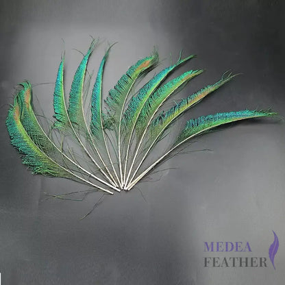 Peacock Sword Feather(1 pack=10 pieces)