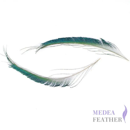 Peacock Sword Feather(1 pack=10 pieces)