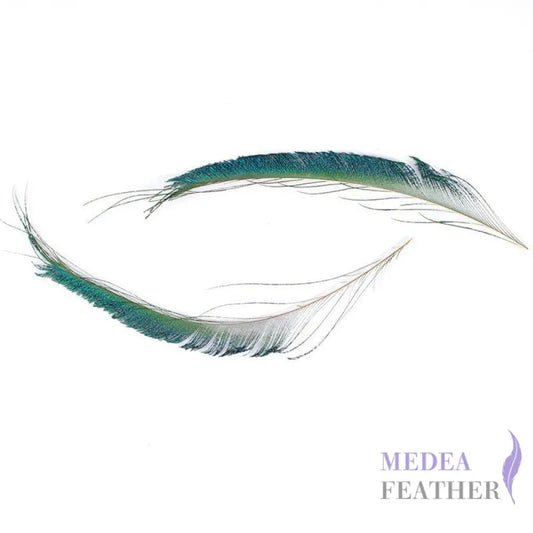 Peacock Sword Feather(1 pack=10 pieces)