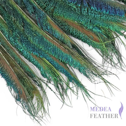 Peacock Sword Feather(1 pack=10 pieces)