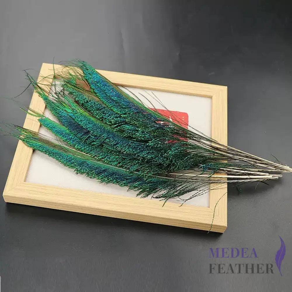 Peacock Sword Feather(1 pack=10 pieces)