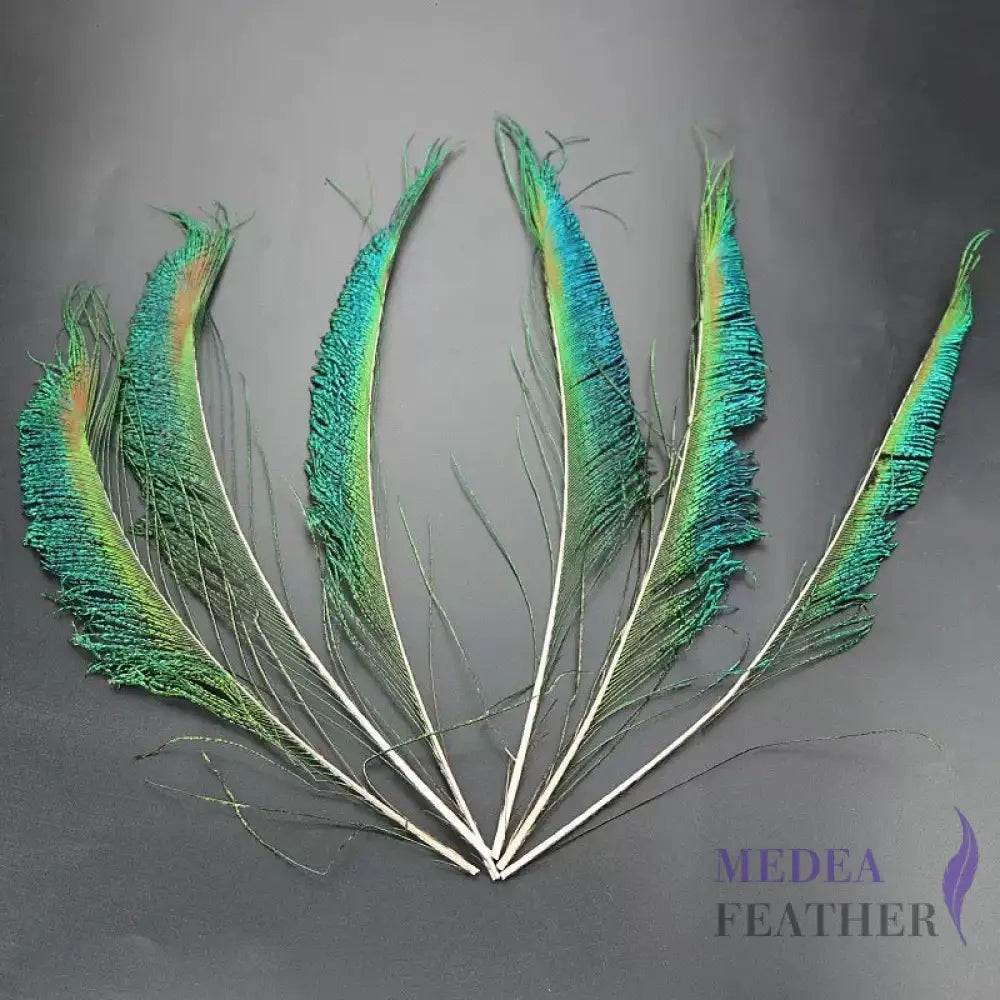 Peacock Sword Feather(1 pack=10 pieces)