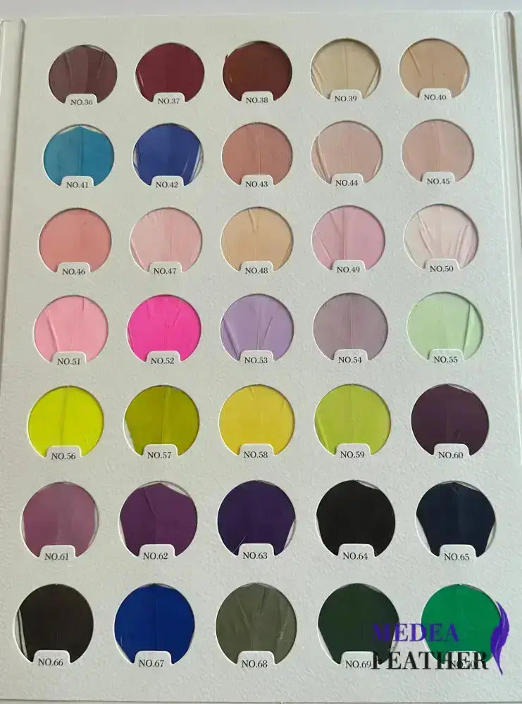 Two End Goose Feather & Natural Colour Feather Mount