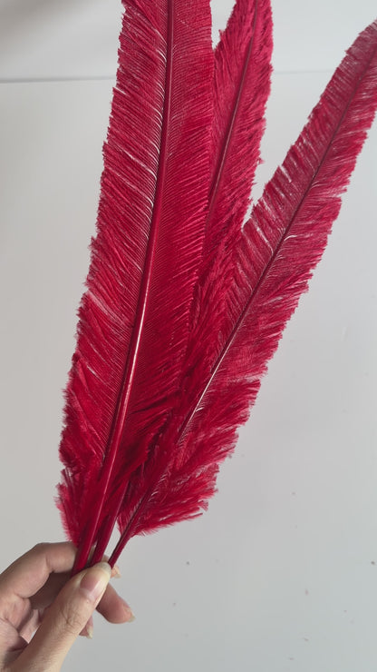 1 Piece-45 cm Red Trimmed Ostrich Nandu Feather SF014