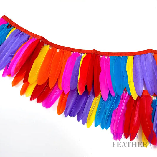 Rainbow Multicolour Goose Feather Trim Fringe 1 Meter