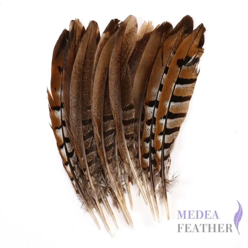 Reeves centre tail pheasant feather ready-to-ship