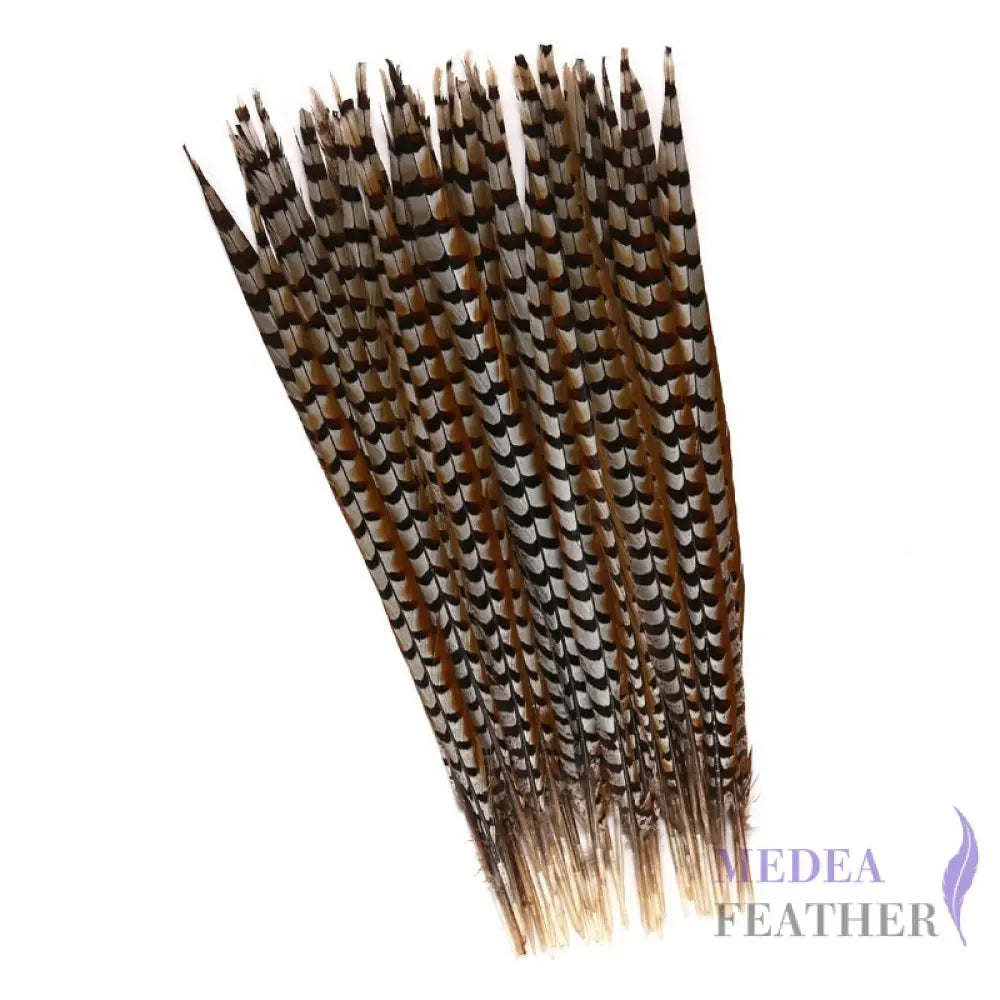 Reeves centre tail pheasant feather ready-to-ship