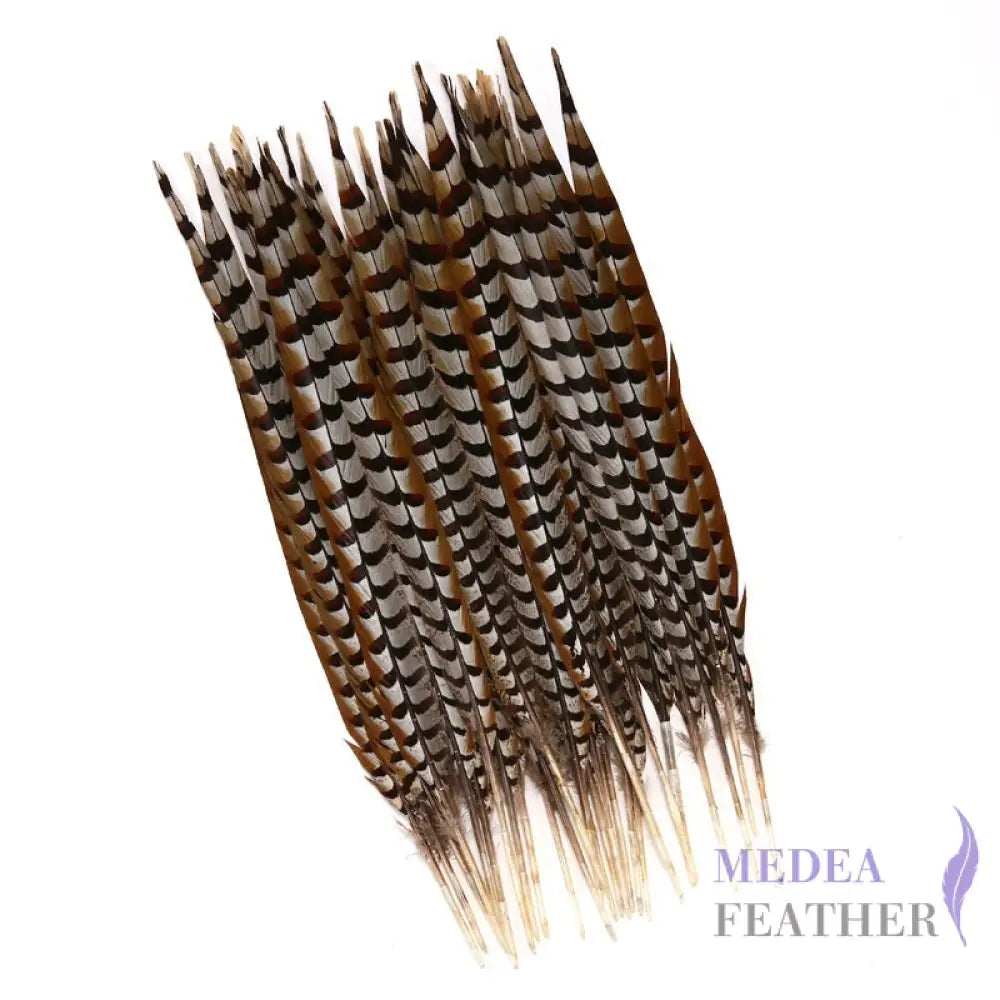 Reeves centre tail pheasant feather ready-to-ship