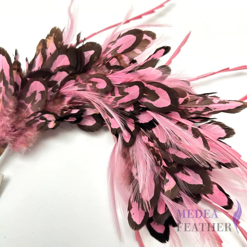 Reeves Venery Pheasant Feather Mount Custom - Please add text below