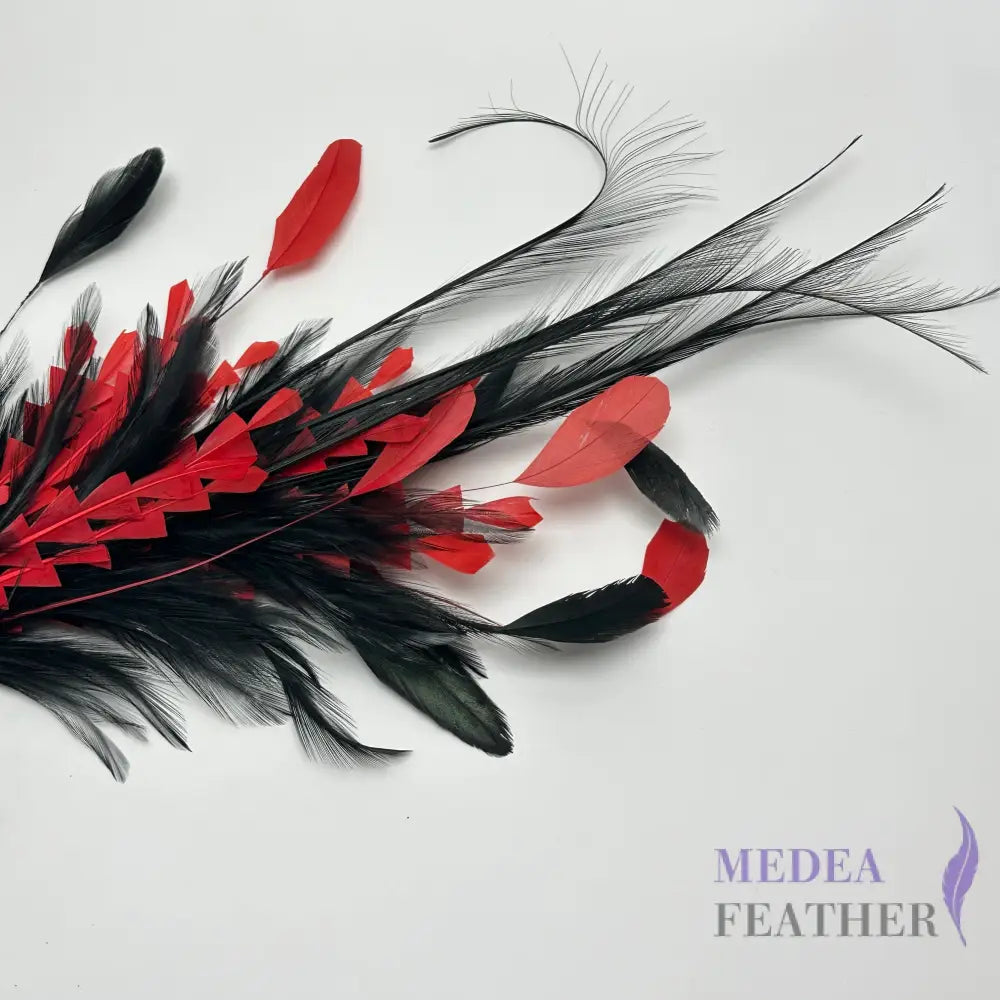 Ringneck Pheasant Feather Mount Custom - Please add text below
