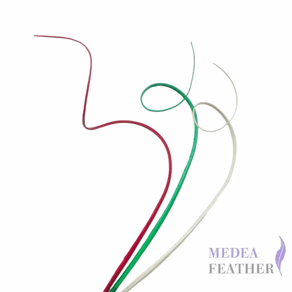 S-Shaped Curved Ostrich Feather Quill