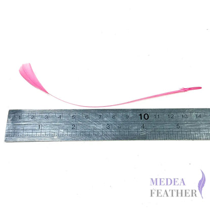 14cm Small Round Tips Coque Feather-Pack of 10