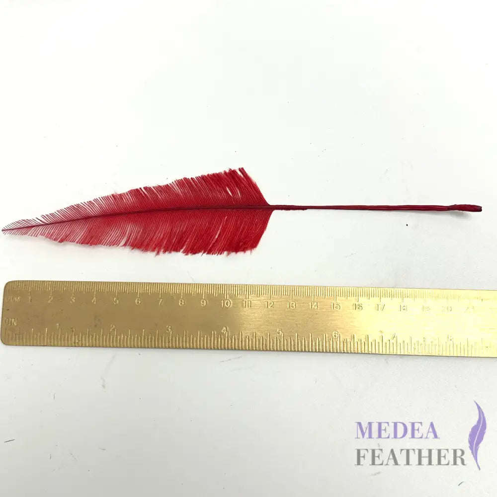 *Sales* 20cm Long Tree Ostrich Feather (1 pack=5 pieces)