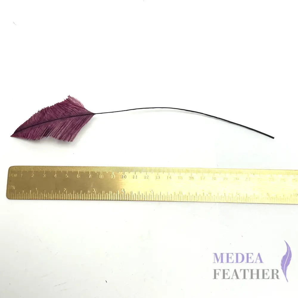 *Sales* 25cm Long Arrowhead Ostrich Feather (1 pack=5 pieces)